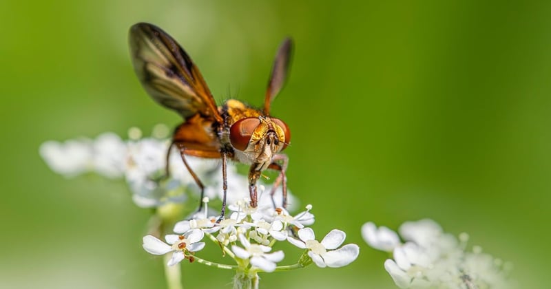 Habitat écologique et énergies du lieu : le guide pratique pour tout changer