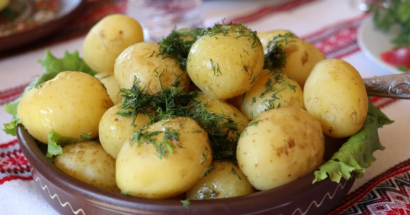 Cuisine consciente et connexion à la Terre : le guide pour se reconnecter
